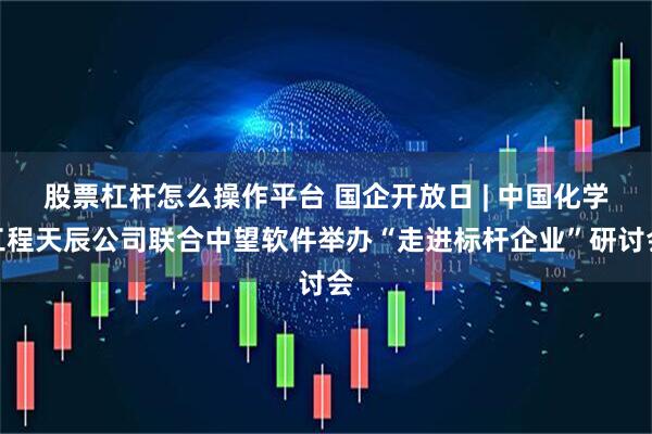 股票杠杆怎么操作平台 国企开放日 | 中国化学工程天辰公司联合中望软件举办“走进标杆企业”研讨会